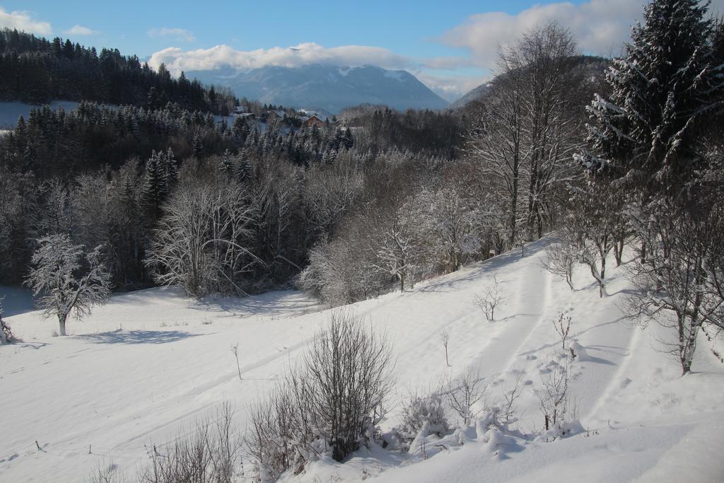 Chalet Eterlou Mégevette Dış mekan fotoğraf