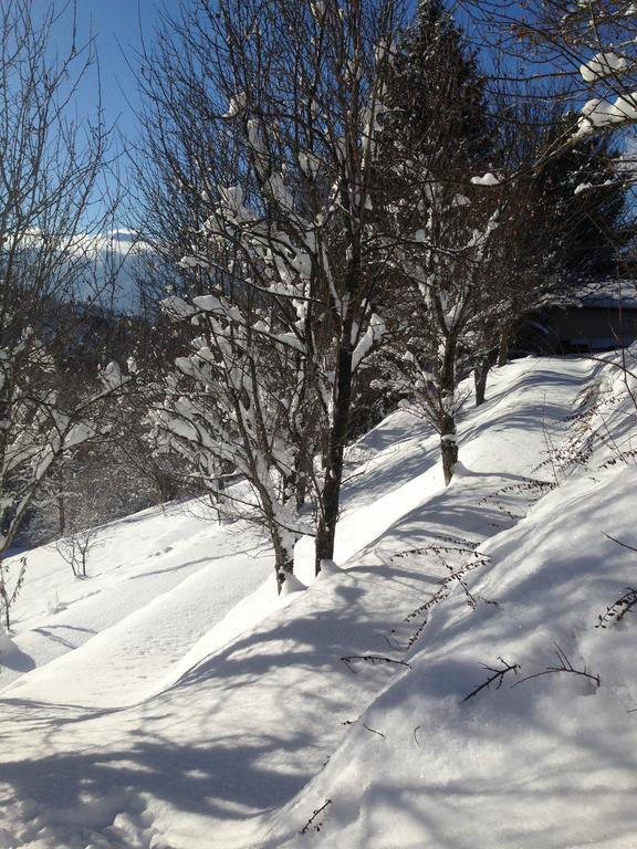 Chalet Eterlou Mégevette Dış mekan fotoğraf