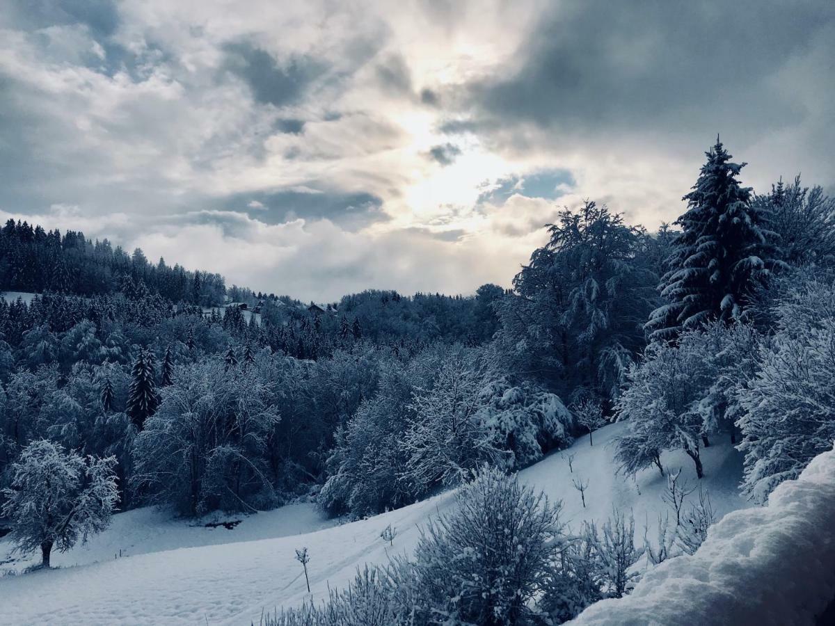 Chalet Eterlou Mégevette Dış mekan fotoğraf